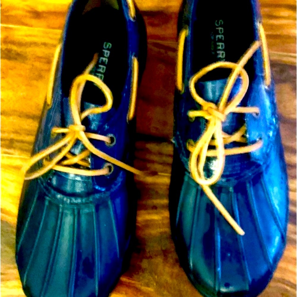 Sperry Waterproof Shoes 8.5 Excellent Like New Condition
